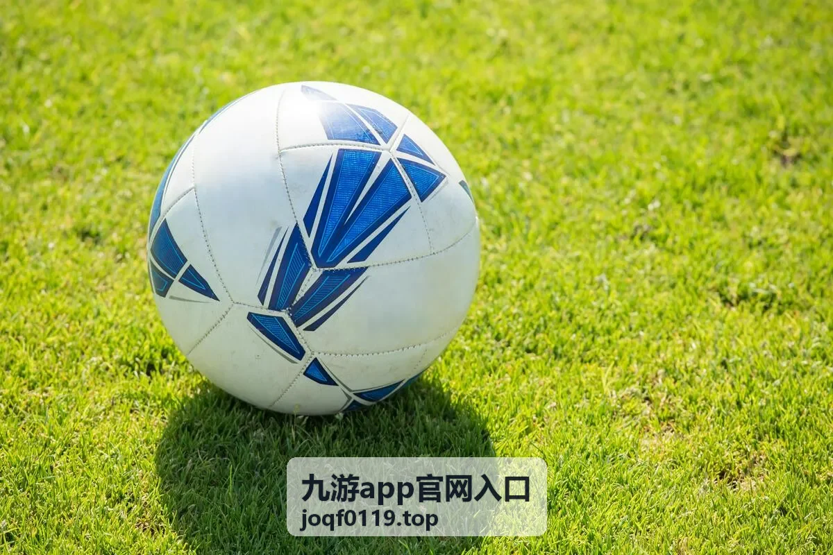 九游app官网入口临时维护公告说明封面